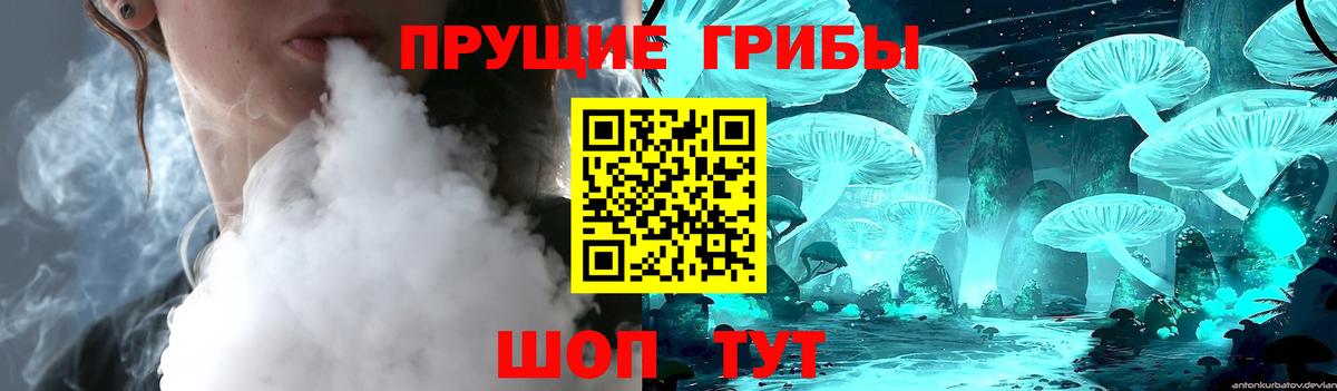 Псилоцибиновые грибы MAGIC MUSHROOMS  Вход с VPN  Гулькевичи 